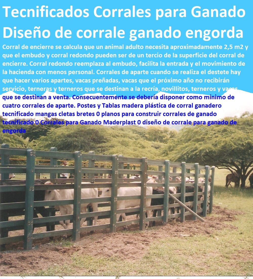 Manga y Calcetas Curvas Cerradas Embudos Paredes Maderplast Corral Plástico 0 Hatos y Ganaderos Tecnificados Con Maderplast 0 Diseño de Corrales Para Ganado Estabulado 0 Ganado Estabulado Infraestructura Necesaria 0 Como Estabular Manga y Calcetas Curvas Cerradas Embudos Paredes Maderplast Corral Plástico 0 Hatos y Ganaderos Tecnificados Con Maderplast 0 Diseño de Corrales Para Ganado Estabulado 0 Sistemas de Pastoreo, Estabulación de Ganado, Pastoreo Intensivo, Establos, Corrales, Saladeros, Comederos, Cerramientos, Postes, Ganaderías Tecnificadas, Ganaderías Tecnificadas, Explotación Ganadera Automatizada, Ganado Estabulado Infraestructura Necesaria 0 Como Estabular